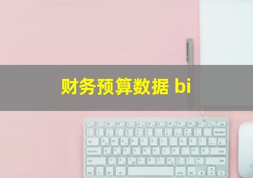 财务预算数据 bi